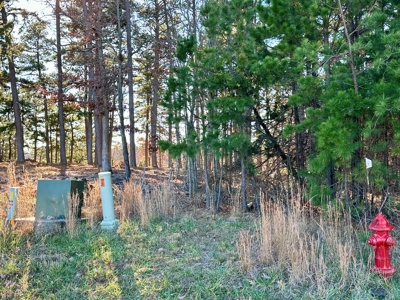 Land Near Lake Norfork In Mountain Home Arkansas - image 2