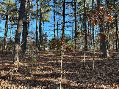 Land Near Lake Norfork In Mountain Home Arkansas - image 10