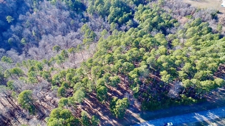 Land Near Lake Norfork In Mountain Home Arkansas - image 11