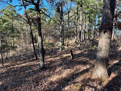 Land Near Lake Norfork In Mountain Home Arkansas - image 8