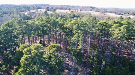 Land Near Lake Norfork In Mountain Home Arkansas - image 14