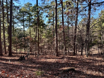 Land Near Lake Norfork In Mountain Home Arkansas - image 7