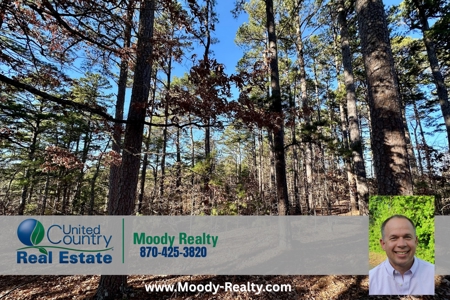 Land Near Lake Norfork In Mountain Home Arkansas - image 23