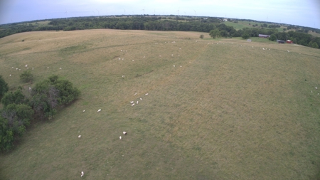 Schuyler County 163 acres - image 32