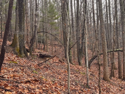 Recreational Retreat for Sale in Moravian Falls NC! - image 4