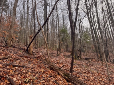 Recreational Retreat for Sale in Moravian Falls NC! - image 15