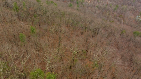 Recreational Retreat for Sale in Moravian Falls NC! - image 8