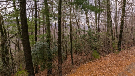 Recreational Retreat for Sale in Moravian Falls NC! - image 5