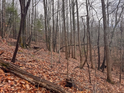 Recreational Retreat for Sale in Moravian Falls NC! - image 16