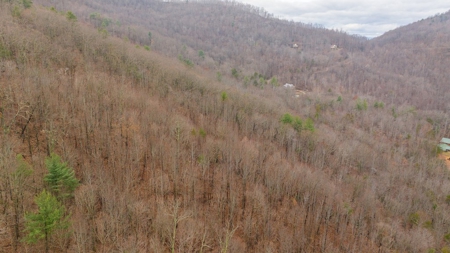 Recreational Retreat for Sale in Moravian Falls NC! - image 11