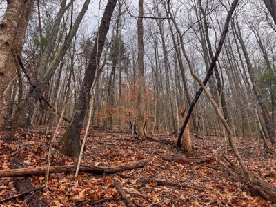 Recreational Retreat for Sale in Moravian Falls NC! - image 14