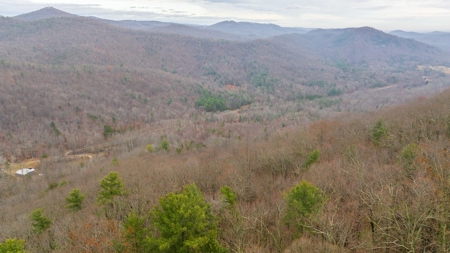 Recreational Retreat for Sale in Moravian Falls NC! - image 7