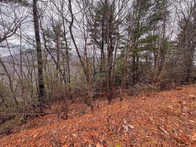 Recreational Retreat for Sale in Moravian Falls NC! - image 12