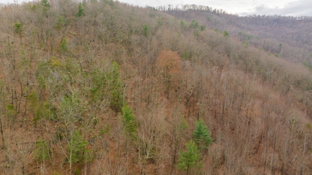 Recreational Retreat for Sale in Moravian Falls NC! - image 10
