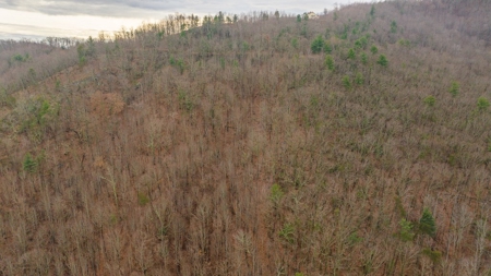 Recreational Retreat for Sale in Moravian Falls NC! - image 9