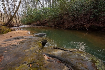 Cabin for Sale in Wilkes County NC! - image 5