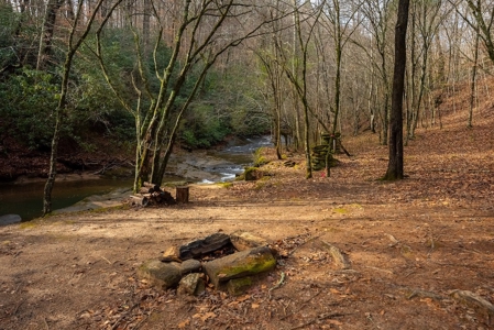 Cabin for Sale in Wilkes County NC! - image 2
