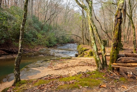 Cabin for Sale in Wilkes County NC! - image 4