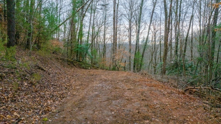 Cabin for Sale in Wilkes County NC! - image 1