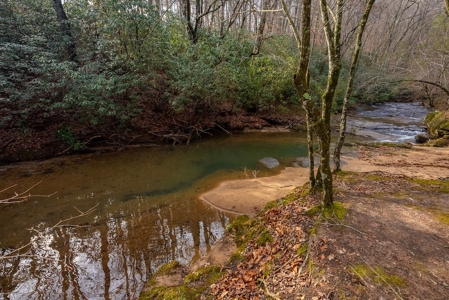 Cabin for Sale in Wilkes County NC! - image 3