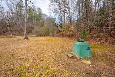 Cabin for Sale in Wilkes County NC! - image 39
