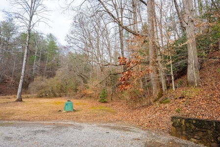Cabin for Sale in Wilkes County NC! - image 33