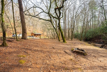 Cabin for Sale in Wilkes County NC! - image 9