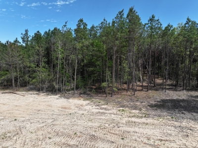 Ranches At Lone Star Ridge Lot 177, Lovelady, Texas 75851 - image 4
