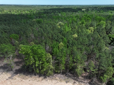 Ranches At Lone Star Ridge Lot 177, Lovelady, Texas 75851 - image 3