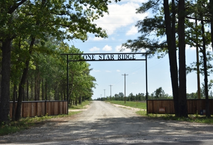 Ranches At Lone Star Ridge Lot 177, Lovelady, Texas 75851 - image 2