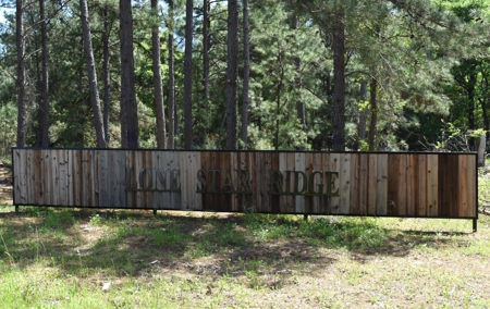 Ranches At Lone Star Ridge Lot 177, Lovelady, Texas 75851 - image 5