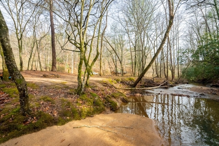 Cabin for Sale in Wilkes County NC! - image 10