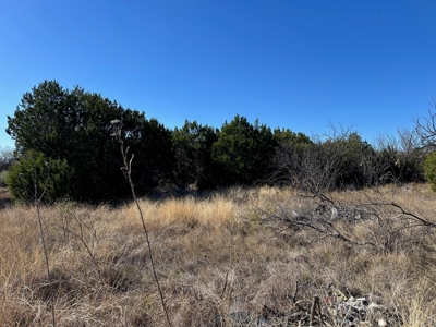 10+ Acres For Sale in Brown County TX - image 5