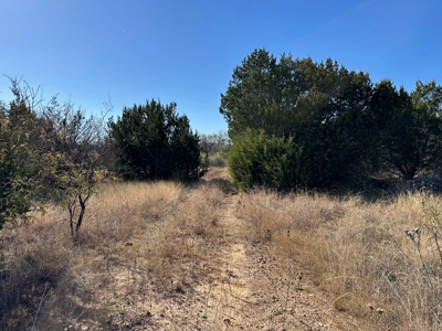 10+ Acres For Sale in Brown County TX - image 7