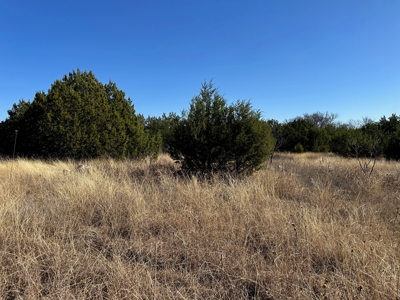 10+ Acres For Sale in Brown County TX - image 9