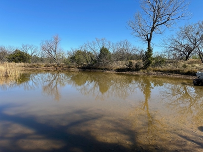 10+ Acres For Sale in Brown County TX - image 14