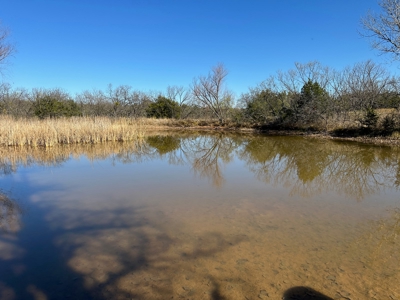 10+ Acres For Sale in Brown County TX - image 1