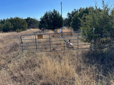 10+ Acres For Sale in Brown County TX - image 8