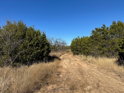 10+ Acres For Sale in Brown County TX - image 10