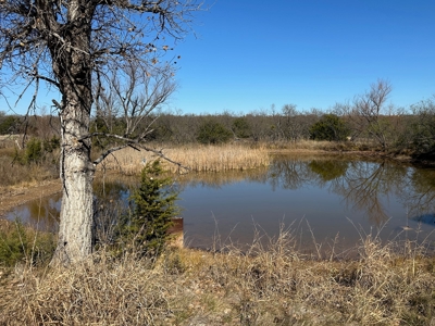 10+ Acres For Sale in Brown County TX - image 13