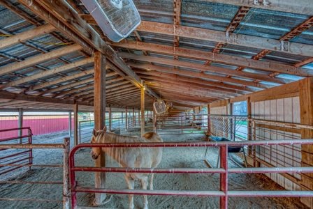 Premier Equestrian Facility in the Heart of the Ozark Mtns - image 46