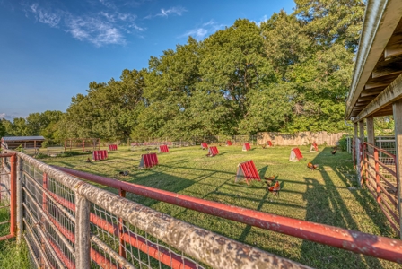 Premier Equestrian Facility in the Heart of the Ozark Mtns - image 19