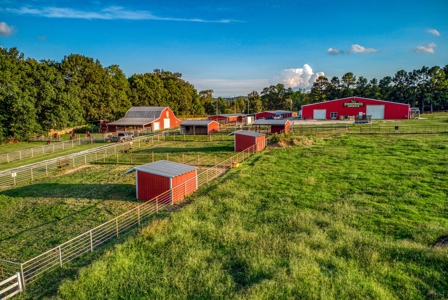 Premier Equestrian Facility in the Heart of the Ozark Mtns - image 5