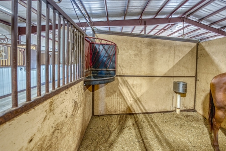 Premier Equestrian Facility in the Heart of the Ozark Mtns - image 38