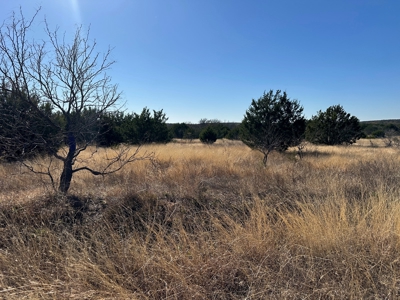 10 acres near Bangs in Brown County TX - image 11