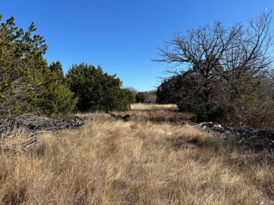 10 acres near Bangs in Brown County TX - image 9