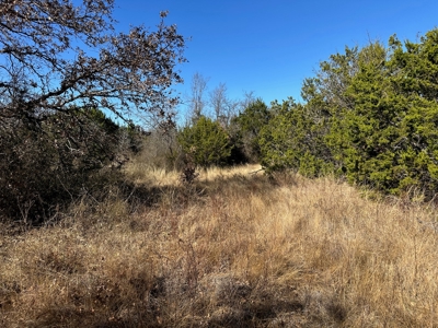 10 acres near Bangs in Brown County TX - image 8