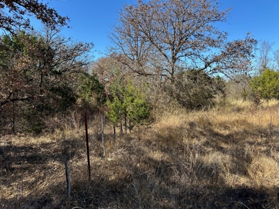 10 acres near Bangs in Brown County TX - image 6