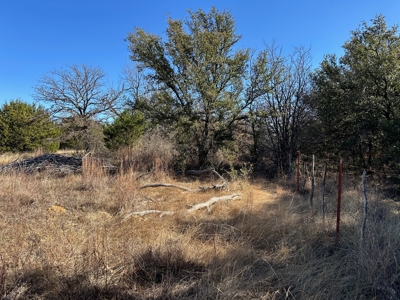 10 acres near Bangs in Brown County TX - image 7