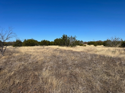 10 acres near Bangs in Brown County TX - image 10
